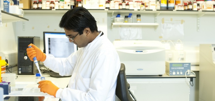 Male researcher in laboratory