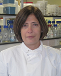 Image of Cinzia Allegrucci