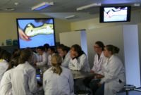 students using ceiling visualiser