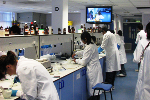 Pharmacy students in the lab