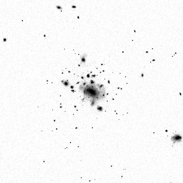 ../cluster_data/Horizon_AGN/0000046/00374/Horizon_AGN_0000046_00374_0000929_image_sb_28_band_i.png?version=28 mag / sq. arcsec