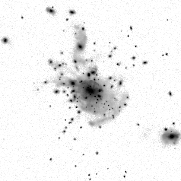 ../cluster_data/Horizon_AGN/0000046/00422/Horizon_AGN_0000046_00422_0000266_image_sb_32_band_i.png?version=32 mag / sq. arcsec