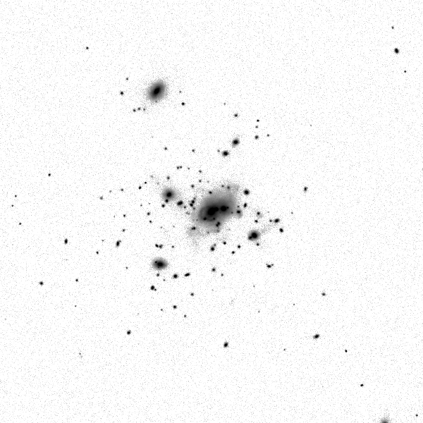 ../cluster_data/Horizon_AGN/0000048/00535/Horizon_AGN_0000048_00535_0000050_image_sb_28_band_i.png?version=28 mag / sq. arcsec