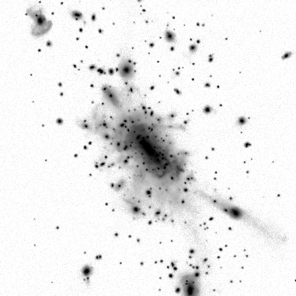 ../cluster_data/Horizon_AGN/0000049/00470/Horizon_AGN_0000049_00470_0000019_image_sb_30_band_i.png?version=30 mag / sq. arcsec