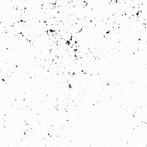 ../cluster_data/Horizon_AGN/0000071/00131/Horizon_AGN_0000071_00131_0001109_image_sb_28_band_i.png?version=28 mag / sq. arcsec