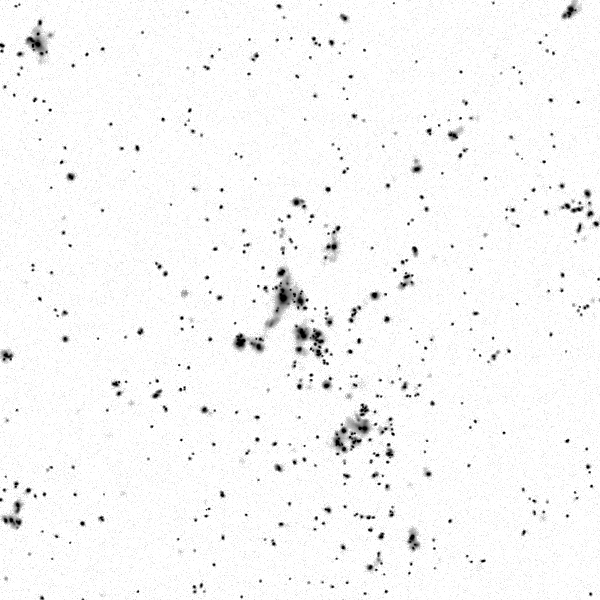 ../cluster_data/Horizon_AGN/0000183/00131/Horizon_AGN_0000183_00131_0014168_image_sb_30_band_i.png?version=30 mag / sq. arcsec