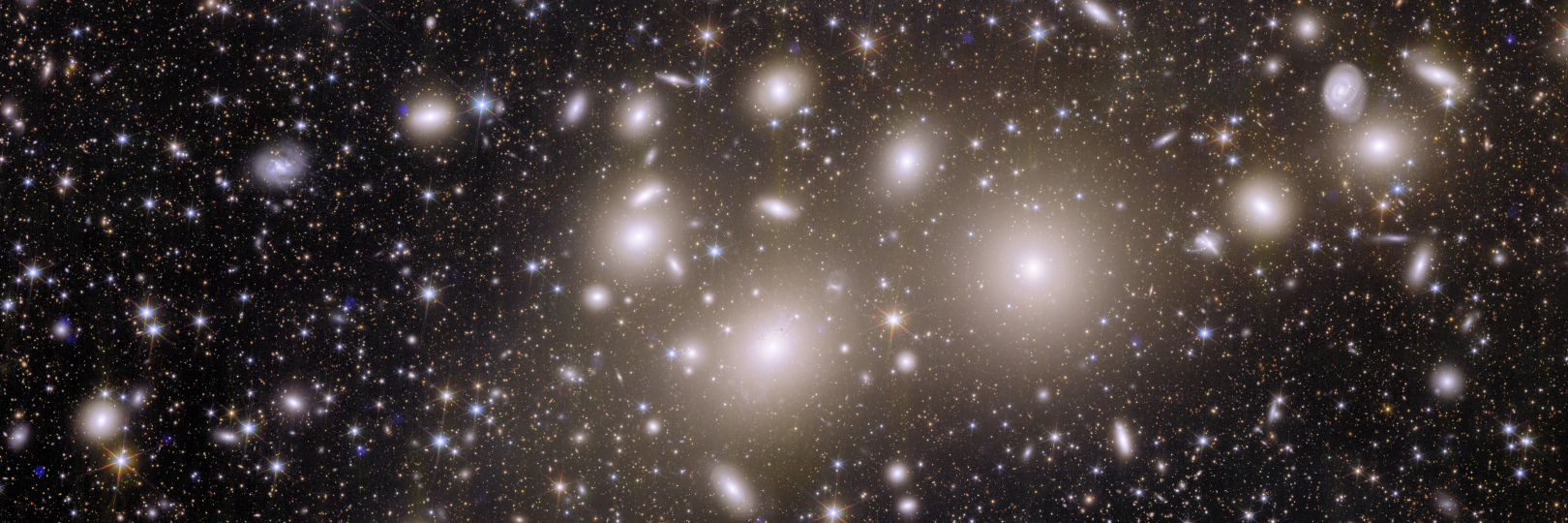 Euclid Image of Perseus Cluster