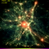 Cluster 242
