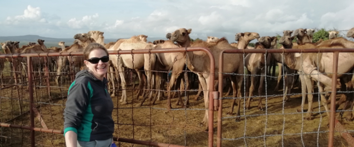 Eukaryotic Microbiology