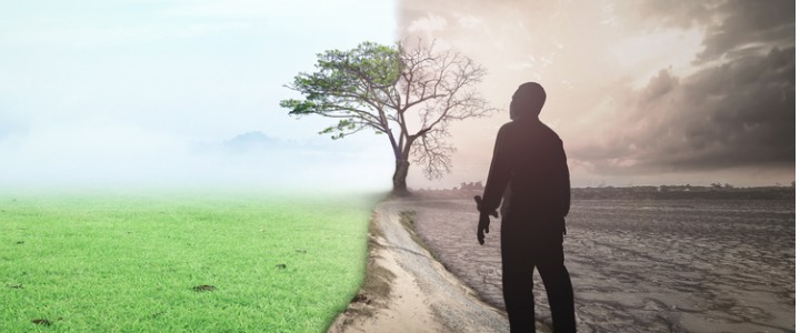 Silhouette of man looking at field split with global warming effect