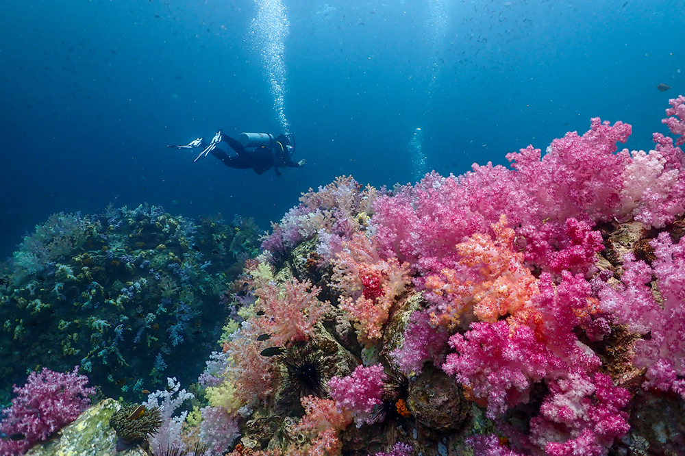 Partial wood built building on Jubilee Campus