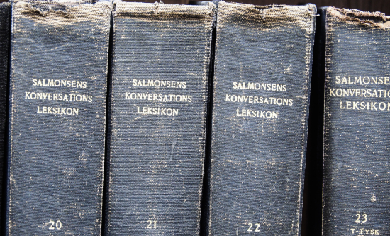A row of dictionaries on a bookshelf