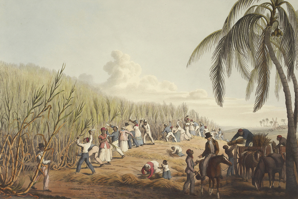 An old fashioned illustration of slaves working in a field