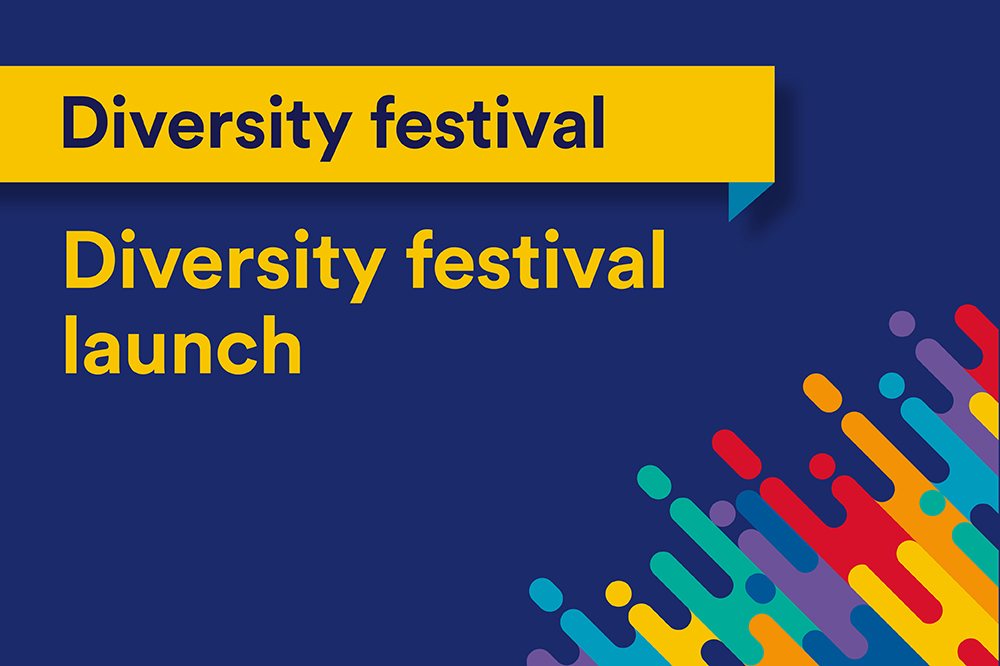 Diversity festival launch artwork