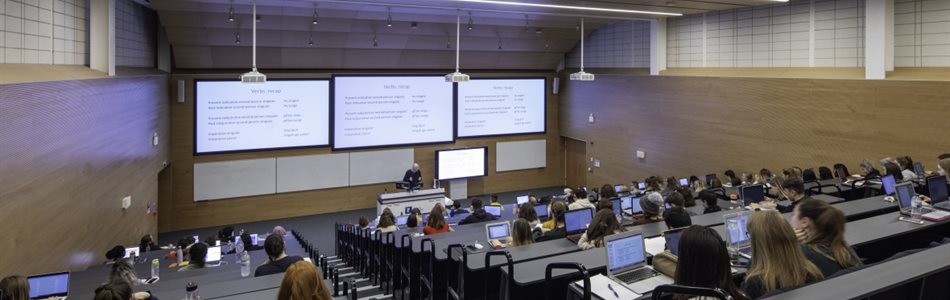 Image of a lecture taking place in the main lecture theatre of the Monica Partridge Building