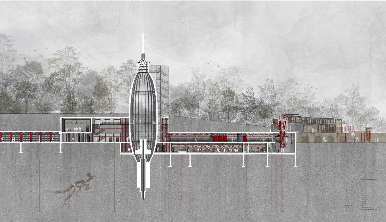 Long Perspective Section