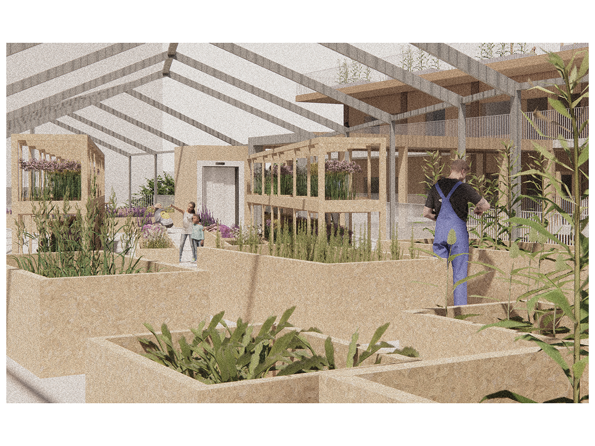 Internal view of the greenhouse