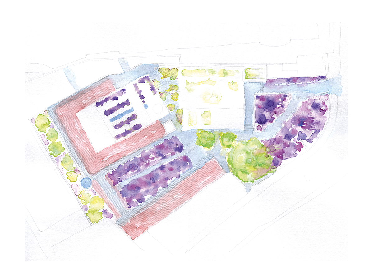 Planting Scheme and biodiversity strategy