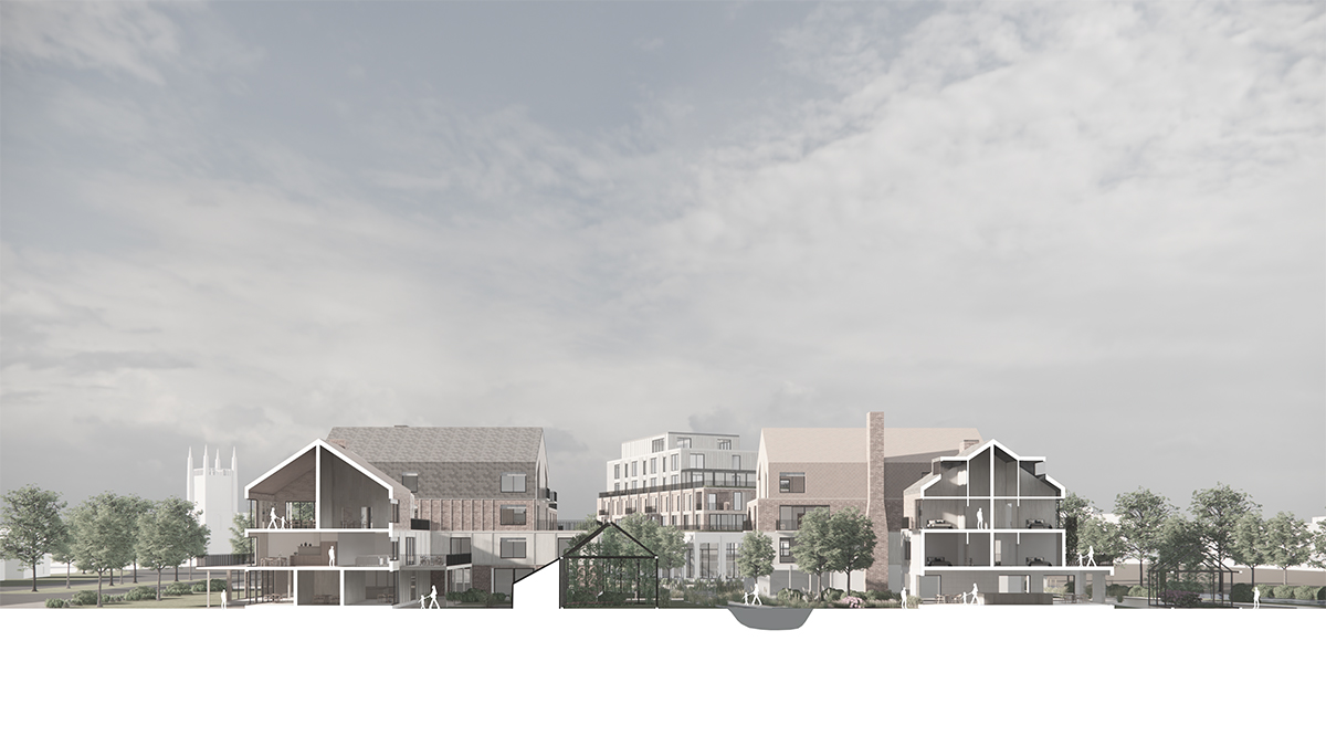 Short Section through Wetlands