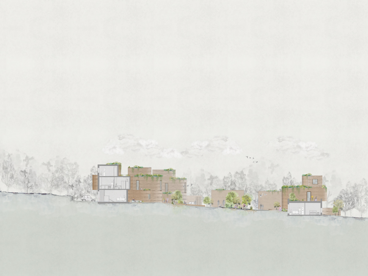 Longitudinal Section