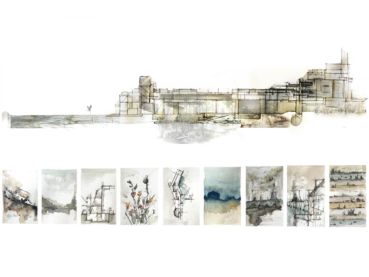 Watercolour Collages