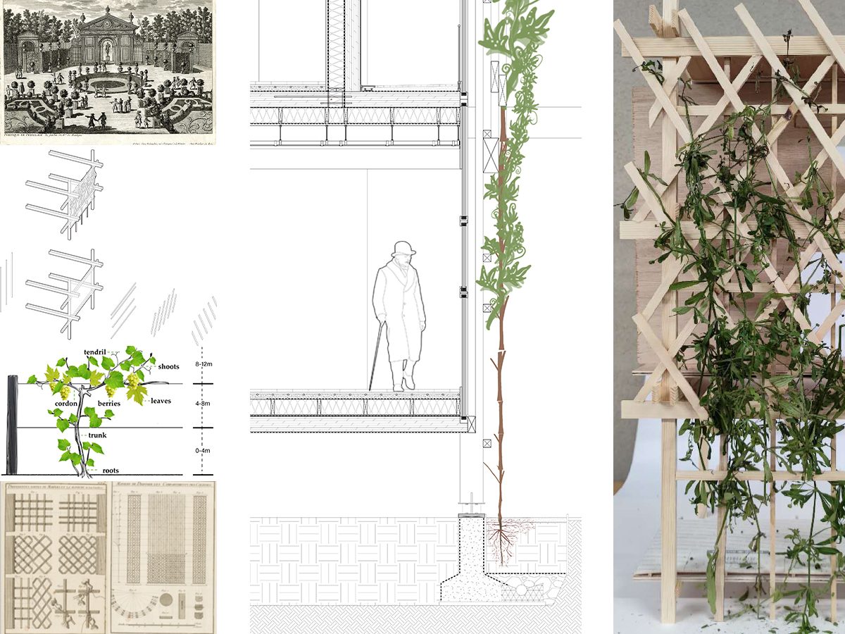 France grapevine culture and mockup detail