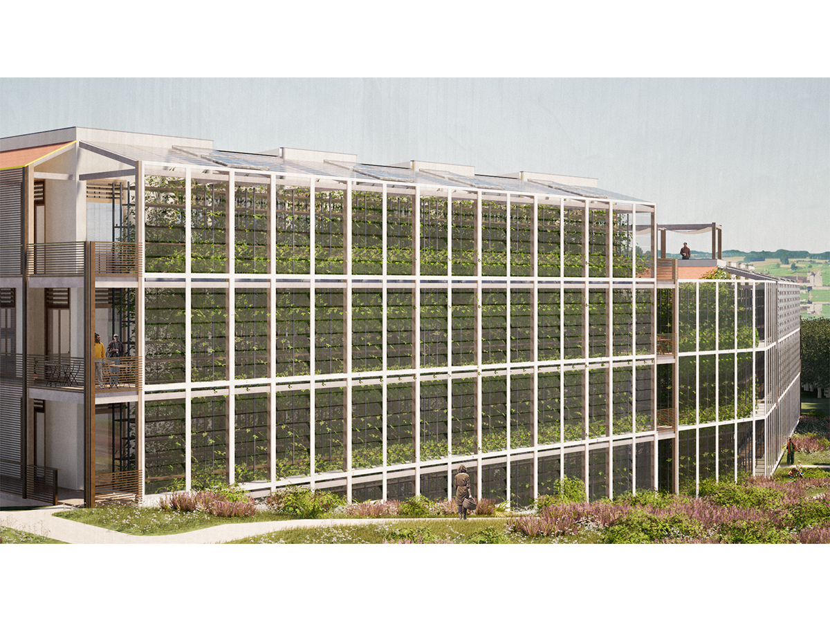 Exterior Visualisation