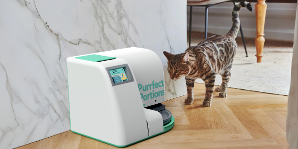 Fern Beighton's project artwork