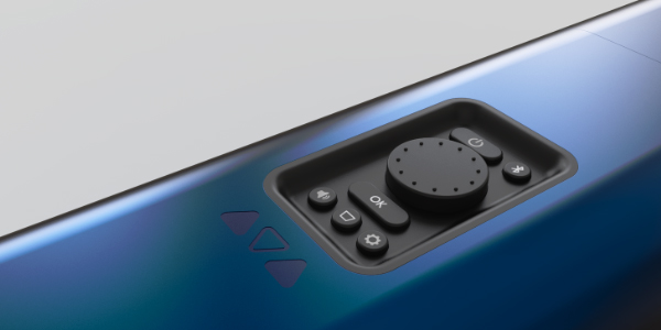 William Johnson's project artwork