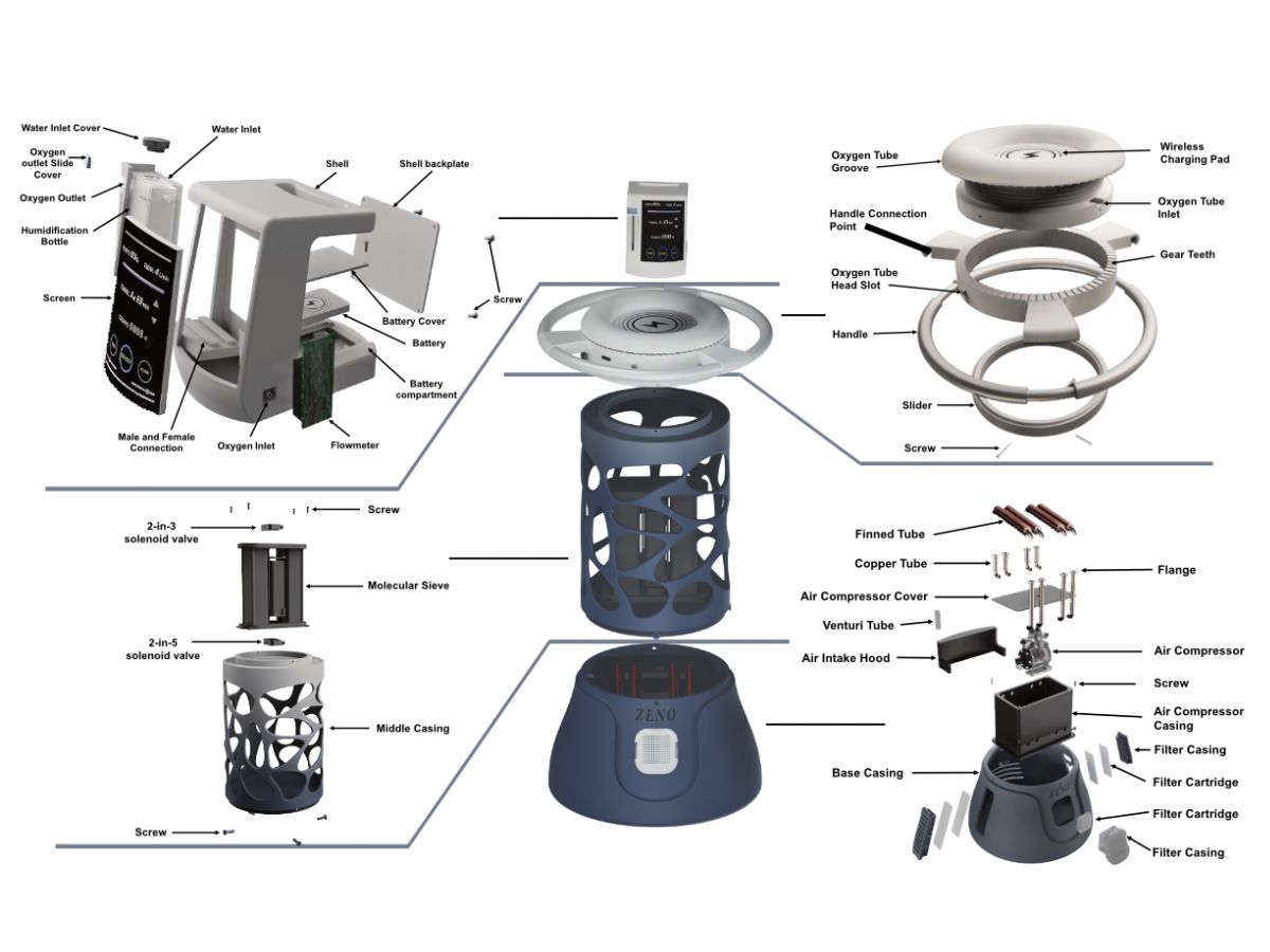 Structural details of ZENO