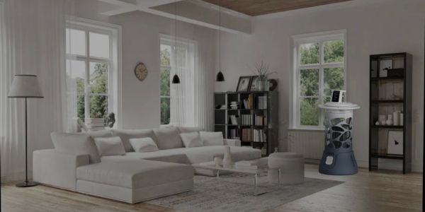 Ruotong Li's project artwork