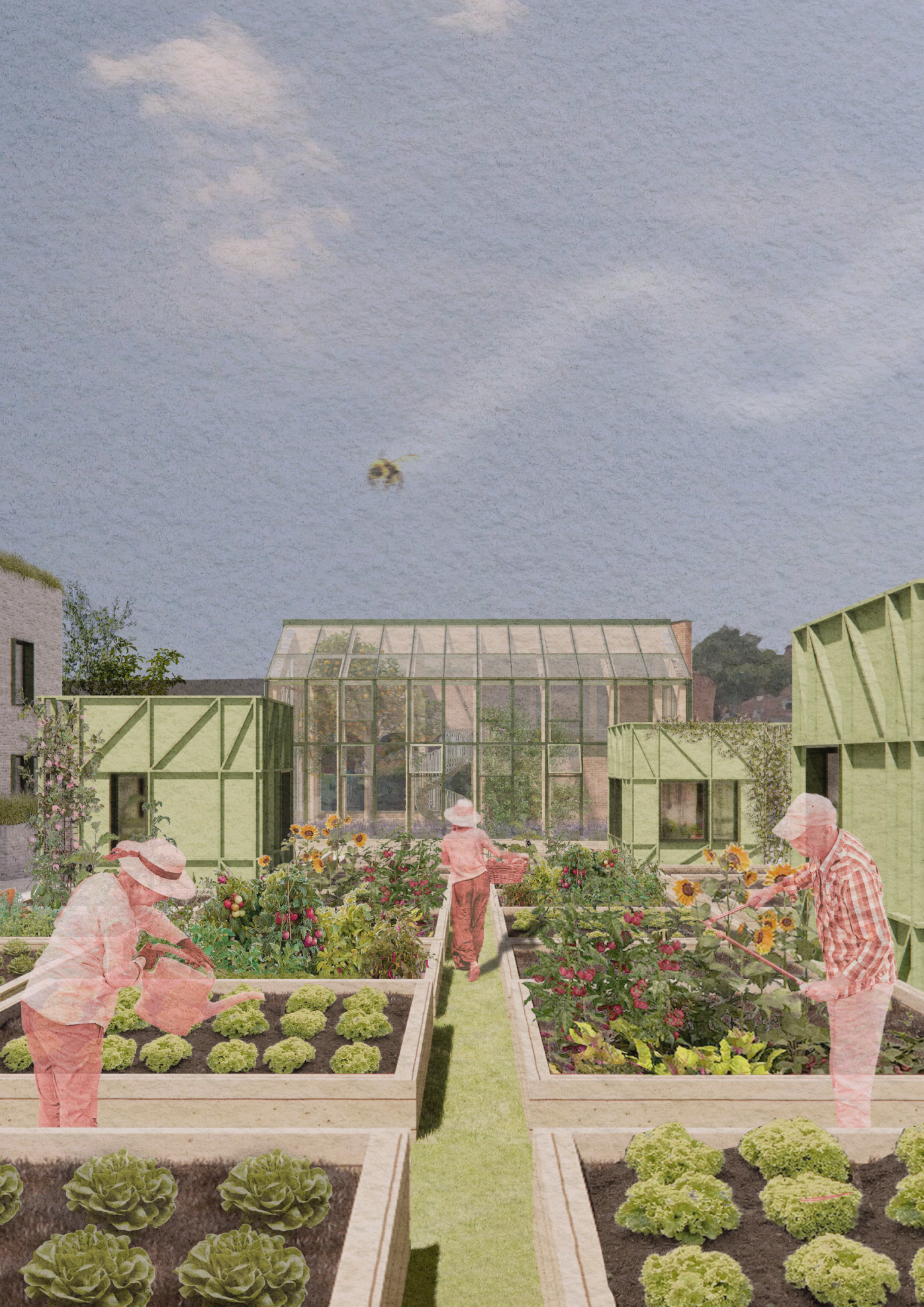 Architectural drawing of allotments