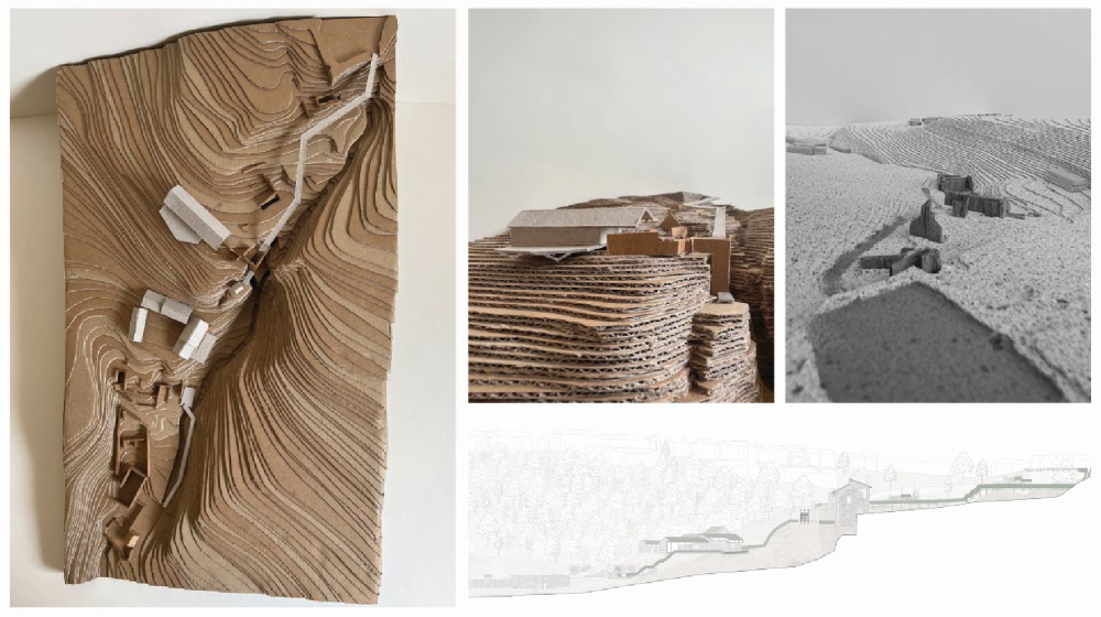 Proposal at the site scale