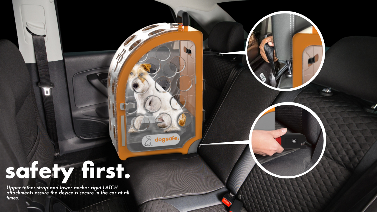 Dogsafe. image 2