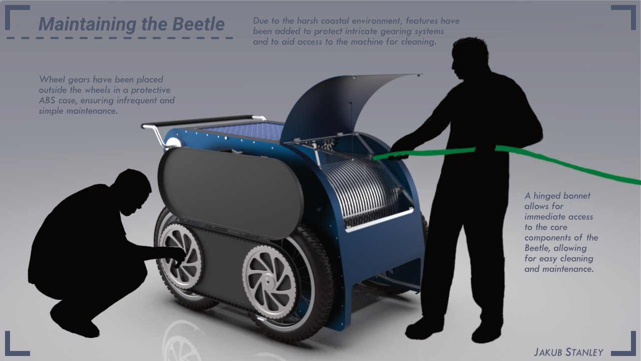 Beach Beetle image 6