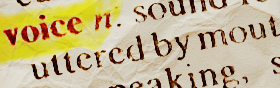 The word Voice in a dictionary.