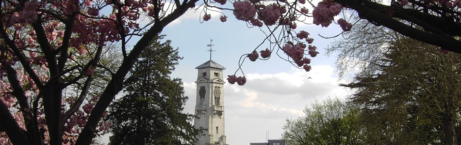 Trent Building shown through the trees.