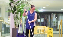 Cleaning (Domestic Services)