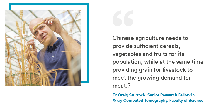 blockquote with image example