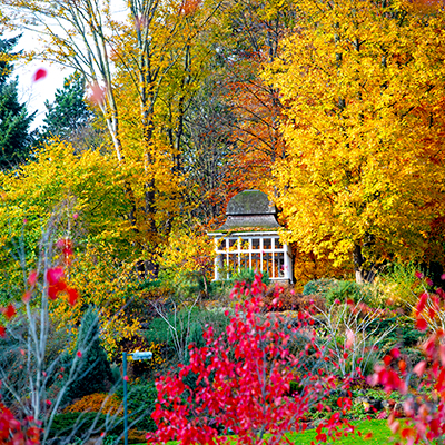 Lenton Firs Rock Garden during autumn