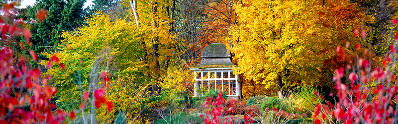 Lenton Firs Rock Garden during autumn