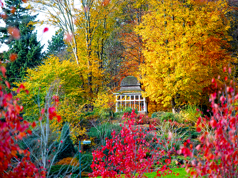 Lenton Firs Rock Garden during autumn