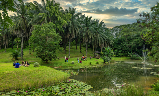 240607_UNM-Web-Banner_Sustainability_R01