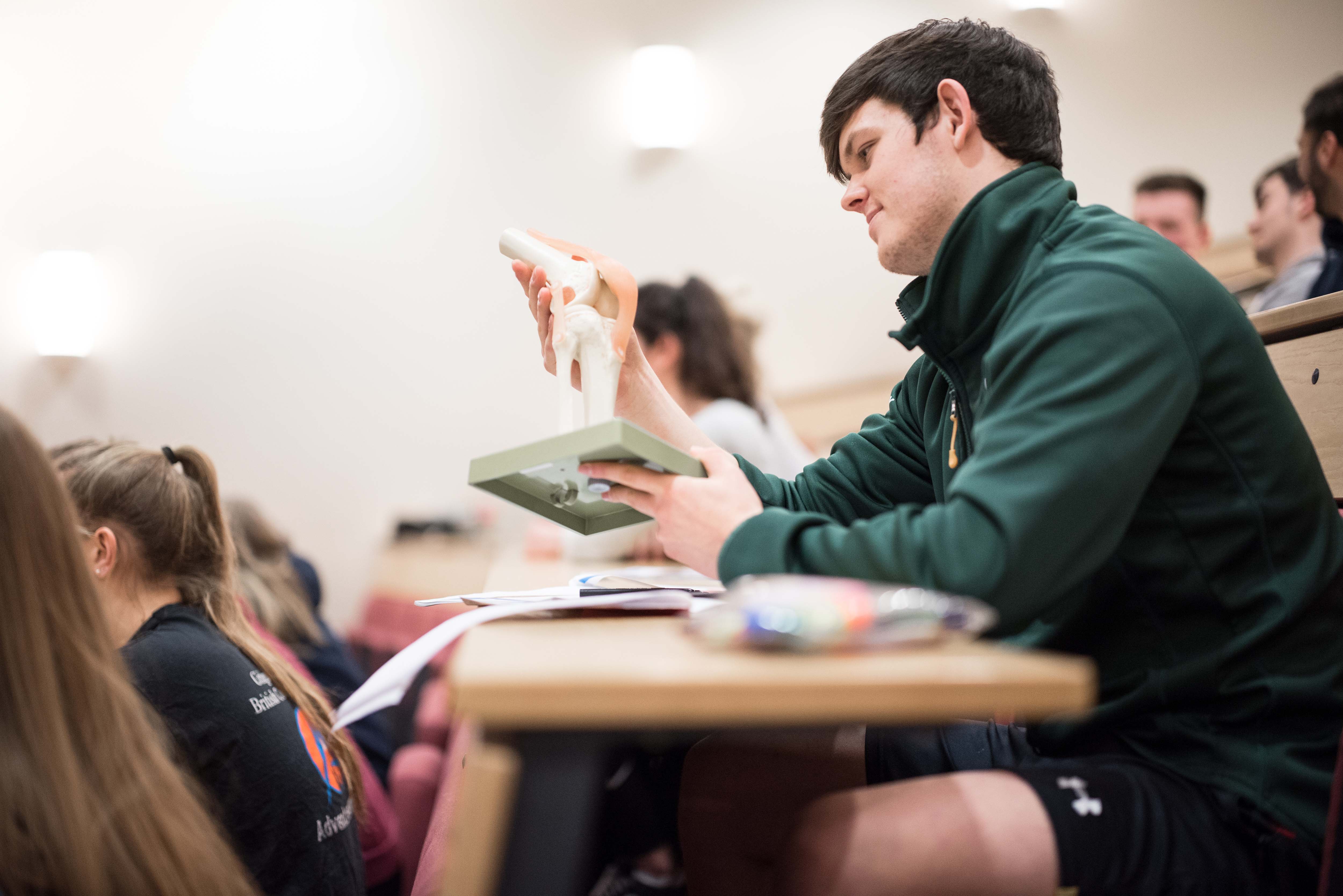 Student in a lecture examine a model of the knee