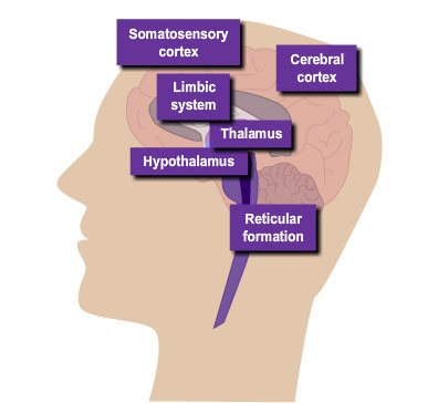 A child cuddling and a child looking