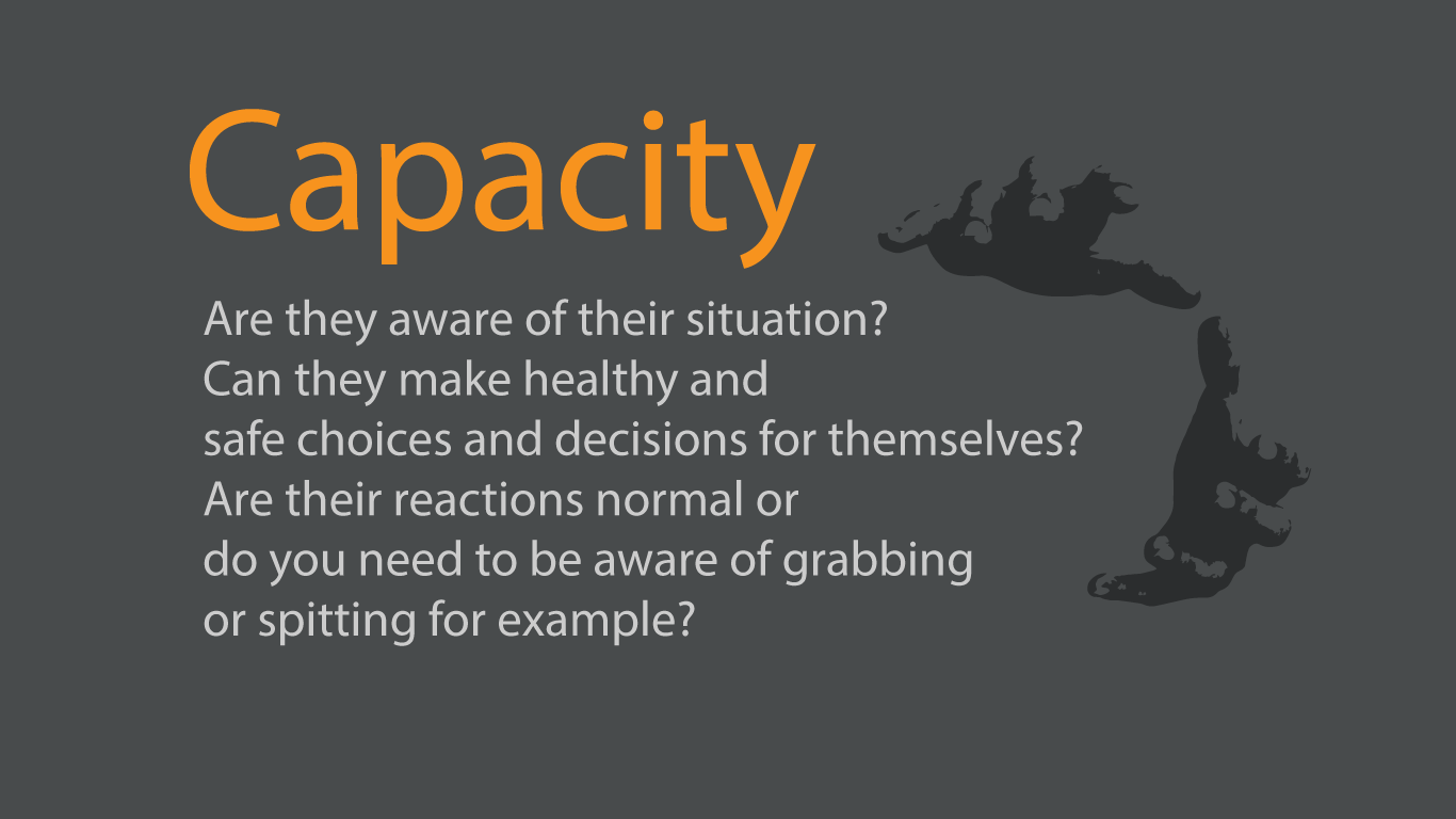 capacity