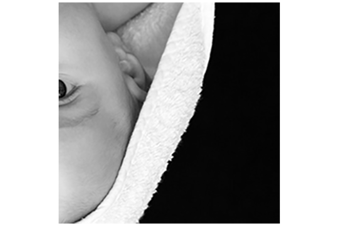 Part of baby bulb image