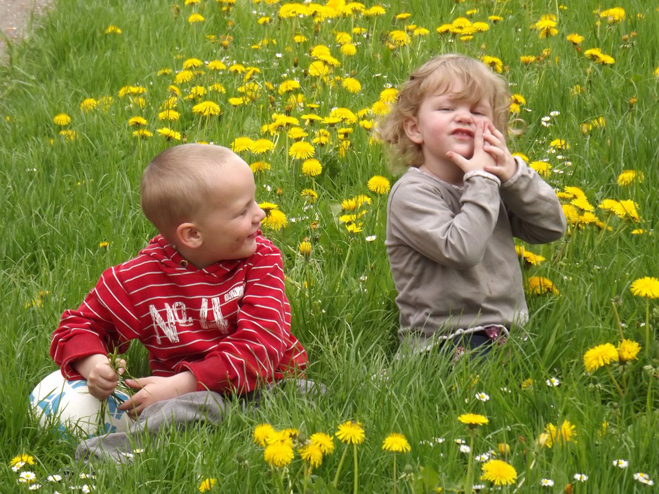 Two children sitting in a meadow