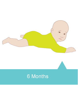 Six months of age