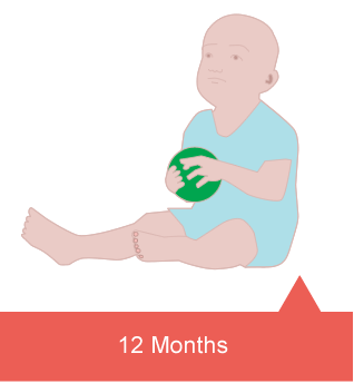 twelve months of age